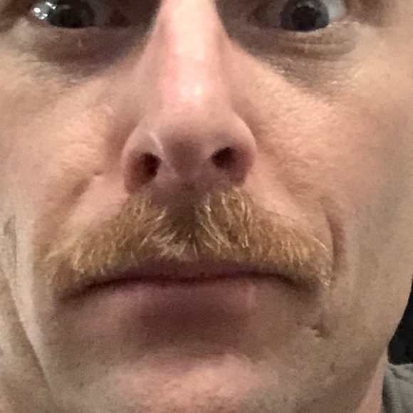 Meet your Posher, Colin - Picture 1 of 1